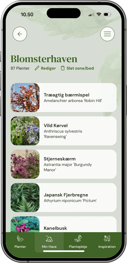 Oversigt over planterne i en zone i MinHave-appen