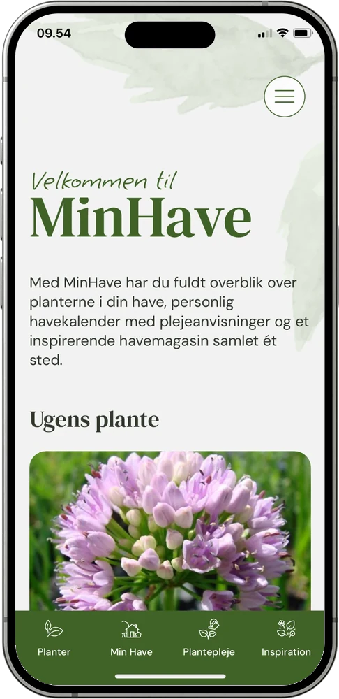 Forsiden af MinHave-appen med ugens plante