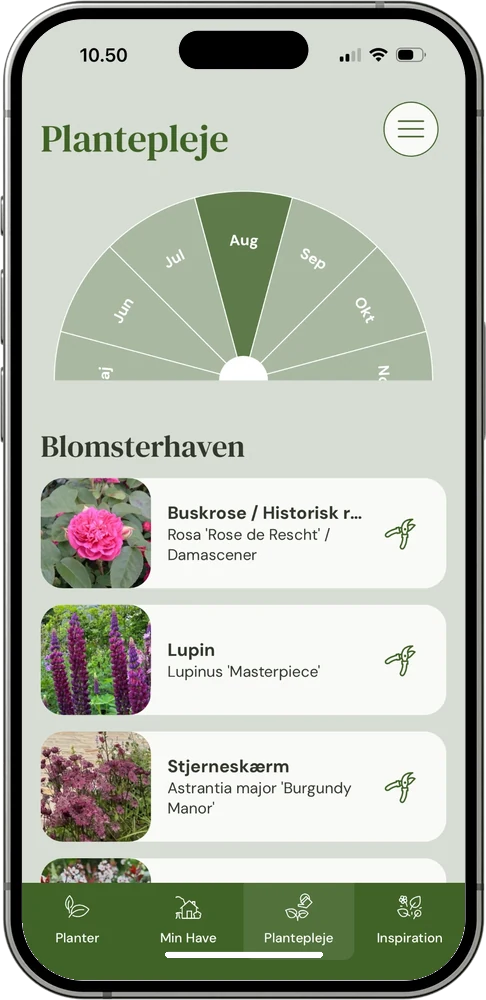Plantepleje med havekalender i MinHave-appen